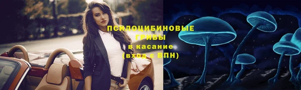 крисы Арсеньев