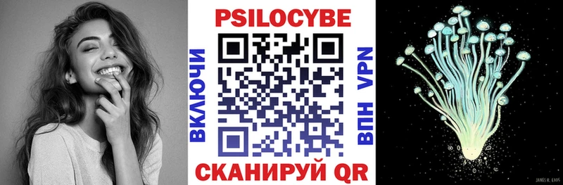 мега ONION  как найти закладки  Чадан  Галлюциногенные грибы мицелий 